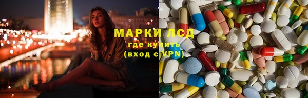 PSILOCYBIN Богородицк