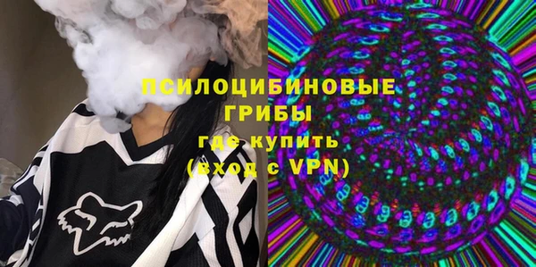 PSILOCYBIN Богородицк