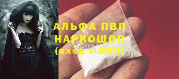 PSILOCYBIN Богородицк
