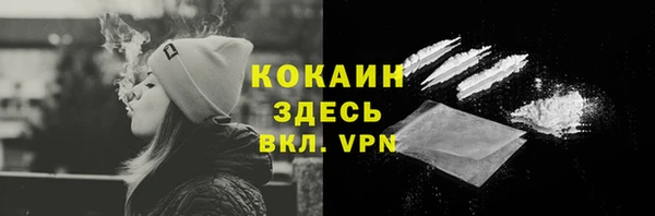 PSILOCYBIN Богородицк